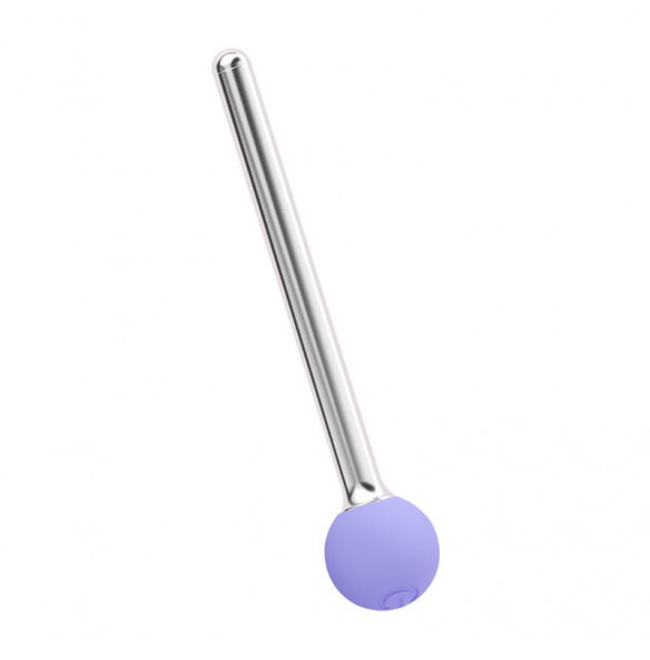 MizzZee - Floral Anal Massager (Chargeable - Purple) MizzZee - Floral Anal Massager (Chargeable - Purple)